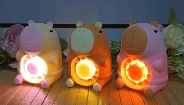 MASAÜSTÜ ŞARZLI ÖZEL FİGÜRLÜ PEMBE RENK IŞIKLI FAN - 6