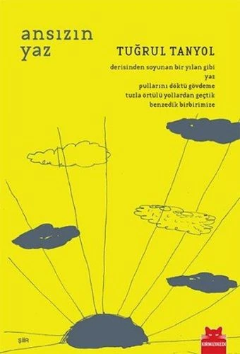 Ansızın Yaz ürün görseli