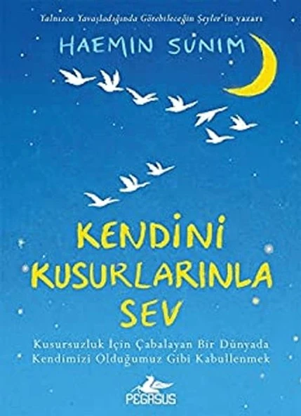 Kendini Kusurlarınla Sev (Ciltli) ürün görseli