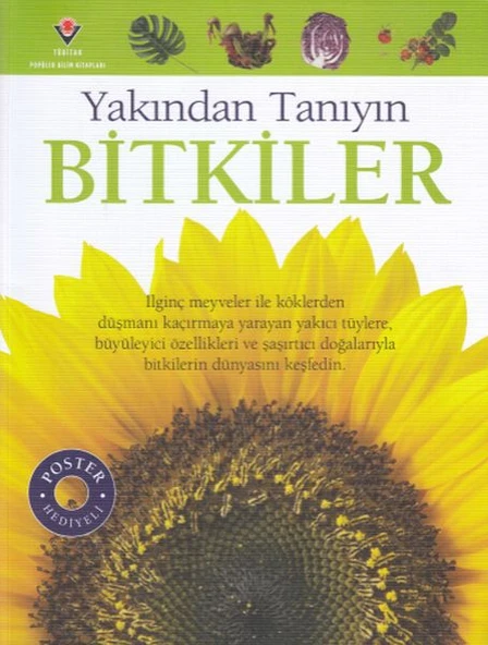 Bitkiler - Yakından Tanıyın ürün görseli 1