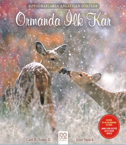 Fotoğraflarla Anlatılan Öyküler - Ormanda İlk Kar ürün görseli