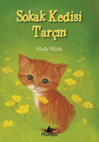 Sokak Kedisi Tarçın ürün görseli