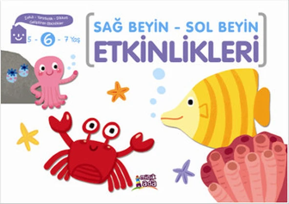 Sağ Beyin - Sol Beyin Etkinlikleri (6 Yaş) ürün görseli