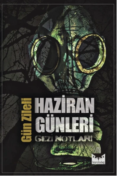 Haziran Günleri  Gezi Notları ürün görseli