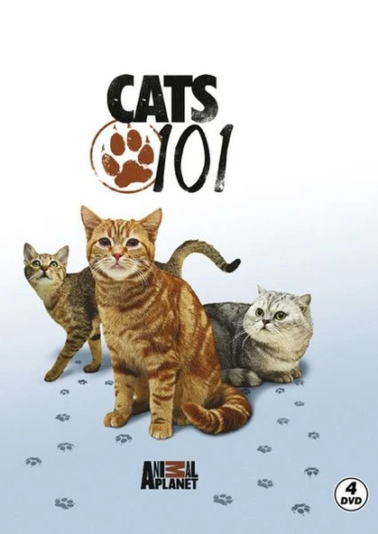 Cats 101 - Kediler ürün görseli