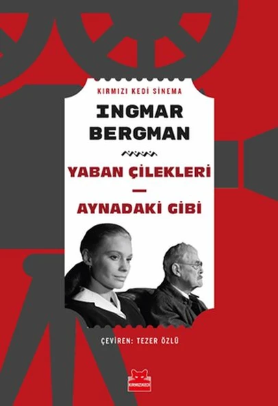 Yaban Çilekleri - Aynadaki Gibi ürün görseli