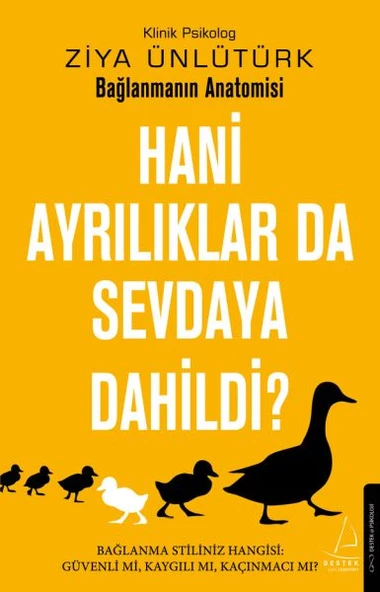 Hani Ayrılıklar da Sevdaya Dahildi? ürün görseli