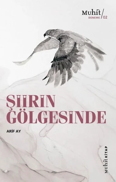Şiirin Gölgesinde ürün görseli