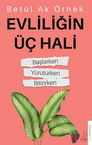 Evliliğin Üç Hali ürün görseli