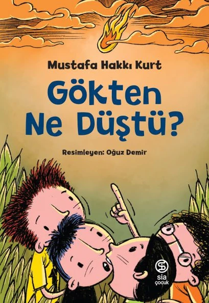 Gökten Ne Düştü? ürün görseli