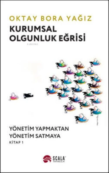 Kurumsal Olgunluk Eğrisi ürün görseli