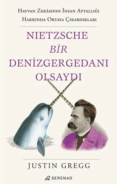 Nietzsche Bir Denizgergedanı Olsaydı ürün görseli