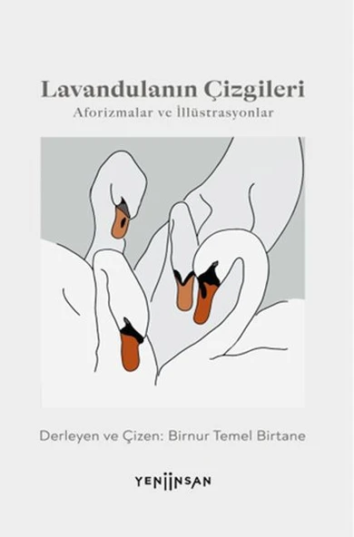 Lavandulanın Çizgileri ürün görseli