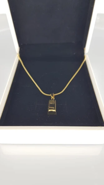 1 gr Minimal Çelik kolye ürün görseli 1