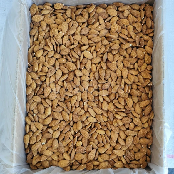 Toptan İthal Çiğ Badem 8 Kg - 5