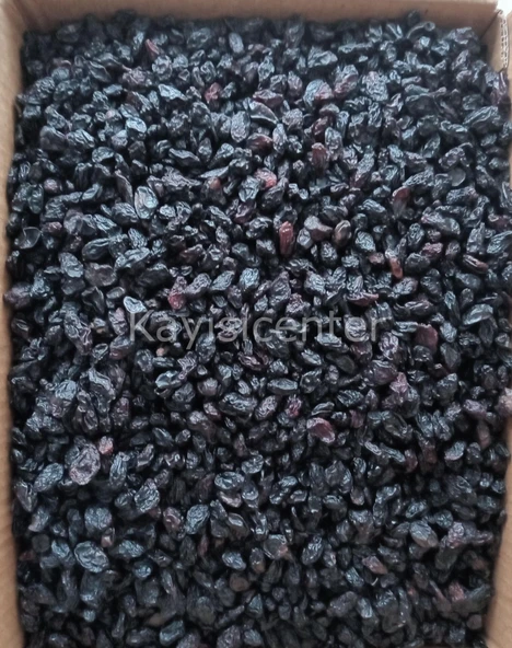 Toptan Kilis Karası Üzüm 10 Kg - 2
