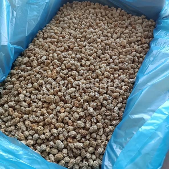 Toptan Pütürge Lüks Dut Kurusu 10 Kg - 2