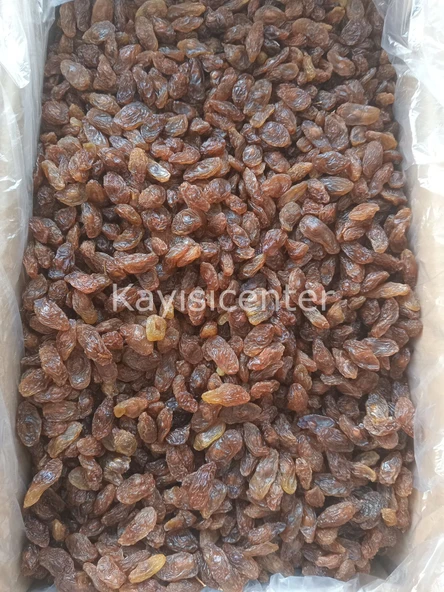 Toptan Besni Üzüm 1000 Kg - 2