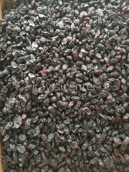 Toptan Kilis Karası Üzüm 10 Kg - 4