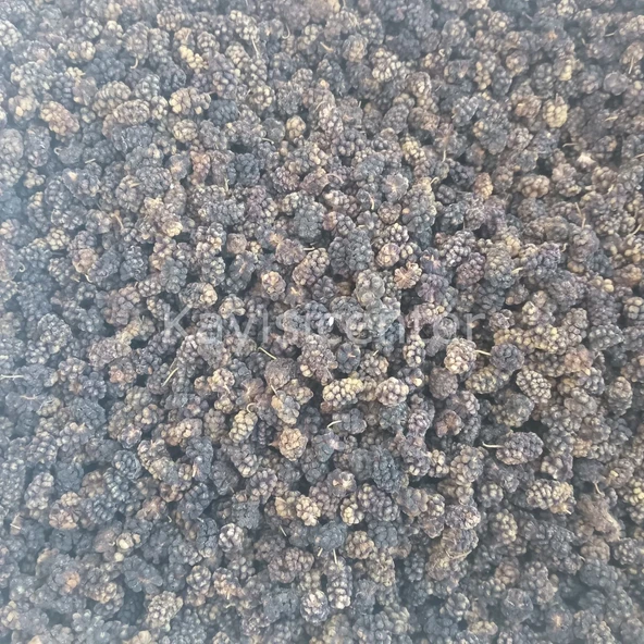 Toptan Ekonomik Karadut Kurusu 10 Kg - 2