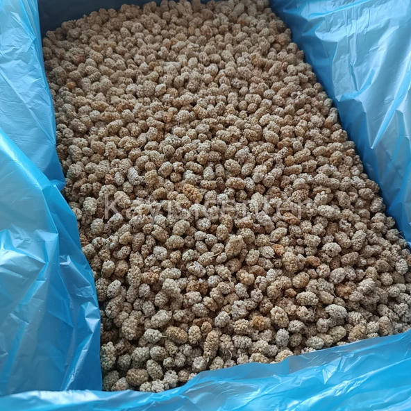 Toptan Pütürge Lüks Dut Kurusu 10 Kg - 3