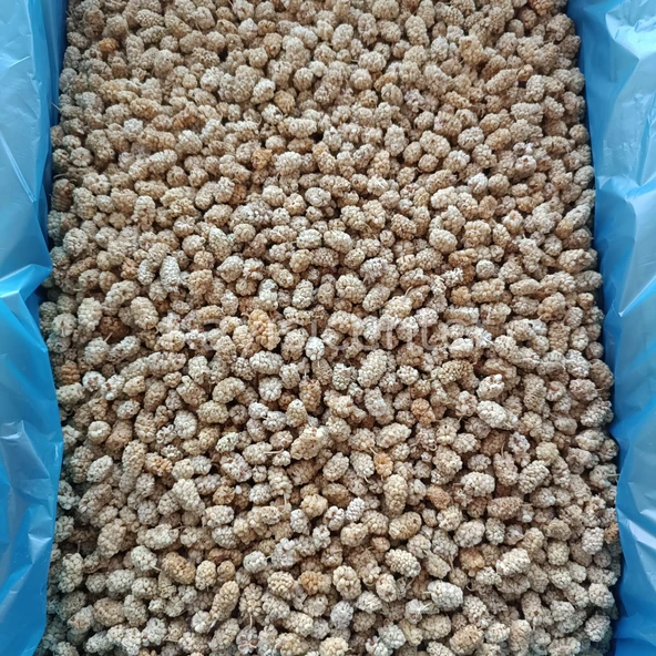 Toptan Pütürge Lüks Dut Kurusu 10 Kg