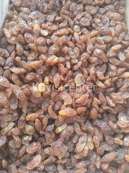 Toptan Besni Üzüm 1000 Kg