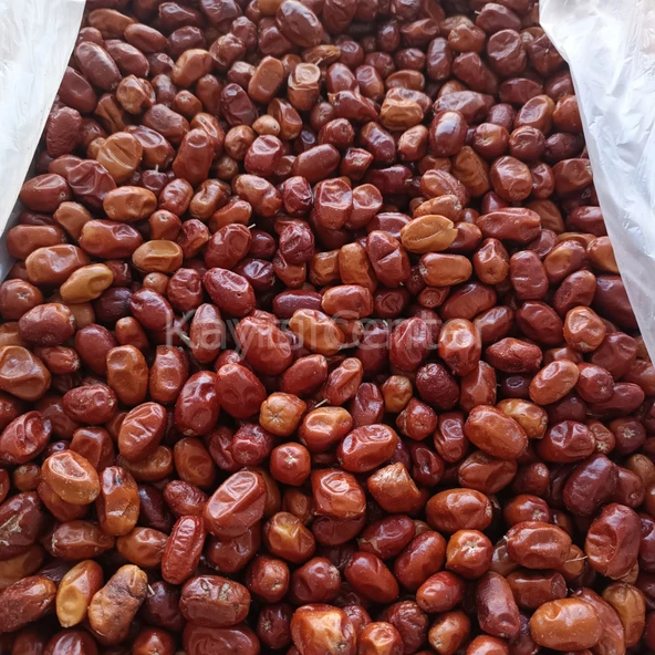 Toptan İğde Kurusu 10 Kg - 4