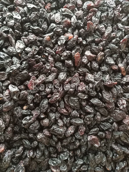 Toptan Kilis Karası Üzüm 10 Kg - 5