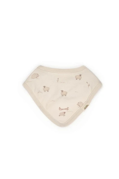 Bebek 10 Parça Set, %100 Organik Pamuk, Bebek ve Yenidoğan Serisi, Hastane Çıkışı Seti - CSY8190 - 7