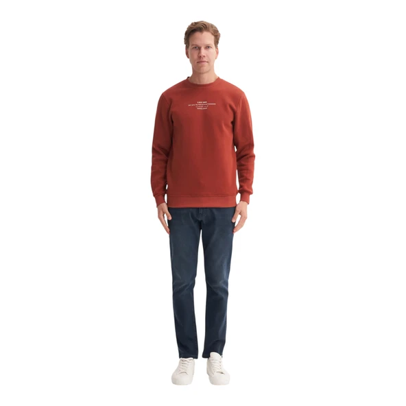 Erkek Bisiklet Yaka Sweatshirt CAZ.53315 - Resim 5
