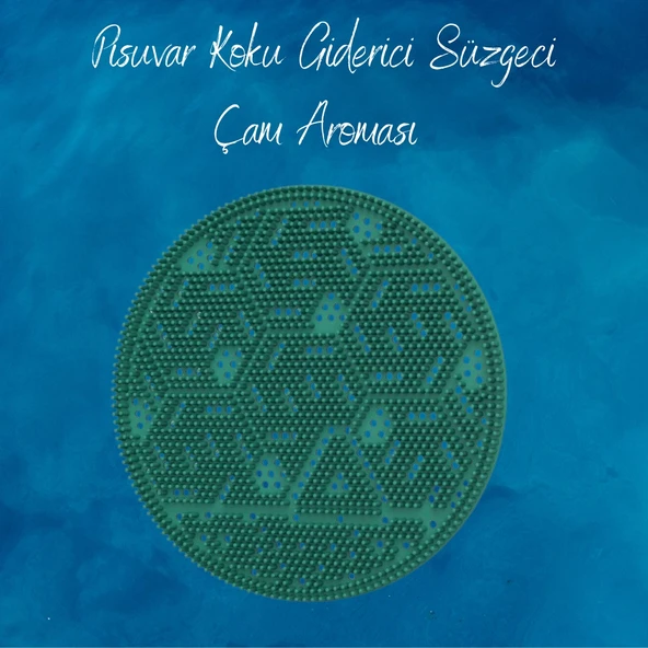 Carpex Pisuvar Koku Giderici Süzgeci - Çam ürün görseli