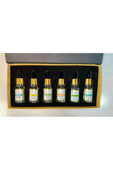 DR MESOMASTER Somon Dna, Vitamin C, Hyaluronic Asid, Hair and Brow, Anti Acne, Lifting Complex Serum Set ürün görseli