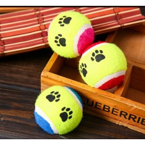 At Getir Köpek Eğitim Topu (5250)