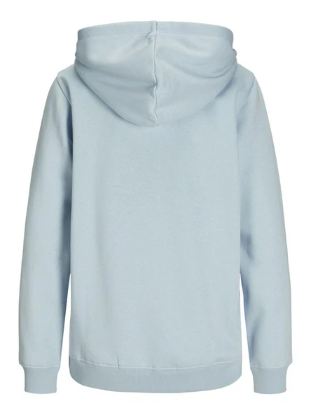 Jjxx Abbıe Relaf Fit Kapüşonlu Kadın Sweat 12223961 - Resim 6