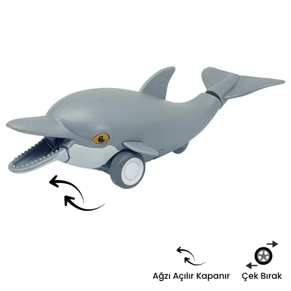 Sürtmeli Hayvanlar 2'li - Yunus Balığı Ve Balina - 3