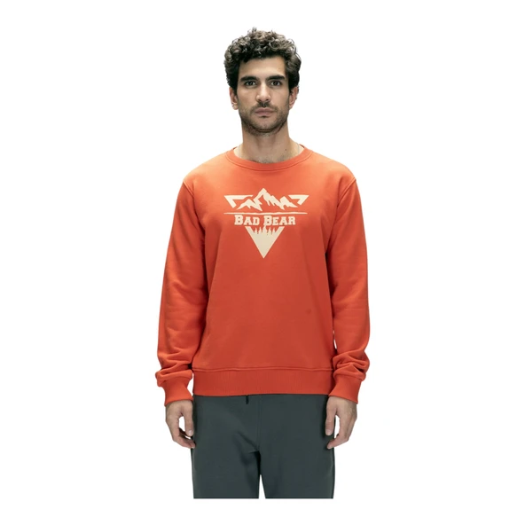 Erkek Baskılı Sweatshirt Mountain BAD.25.02.12.027 - Resim 23