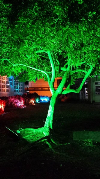 Elektrikle Çalışır, 50 Watt Yeşil Işık İç ve Dış Mekan Slim Led Projektör, Yağmurdan Etkilenmez - Resim 8