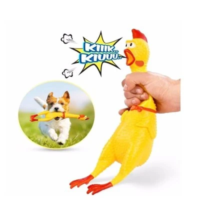 Çığlık Atan Horoz Shrilling Vinil