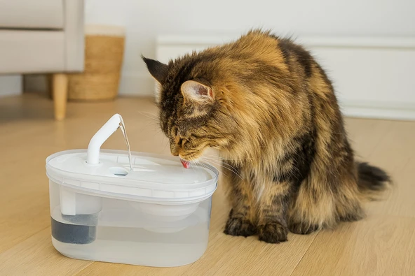 Cans Arıtmalı Kedi Su Sebili 2.5 LT - Sessiz Motorlu, Karbon Filtreli ve Hijyenik Su Kaynağı - 2