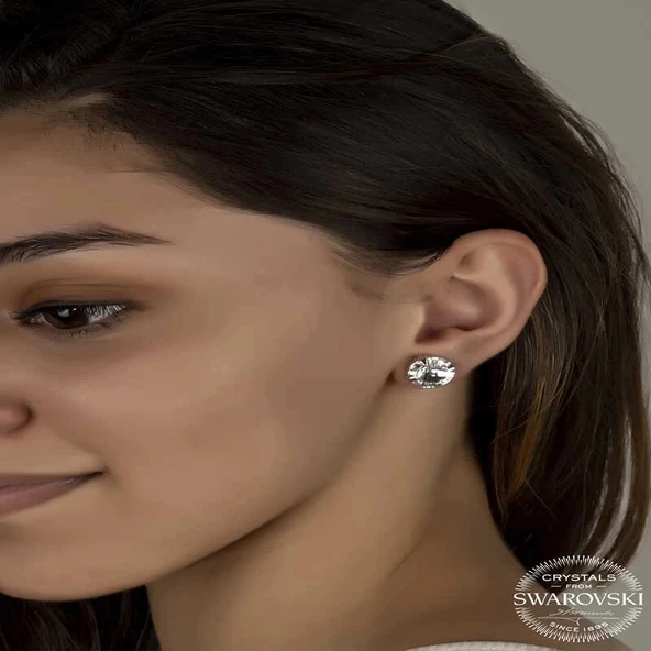 Supertrend Swa Crystal Taşlı Gümüş  Çivili Kadın Küpe - Resim 2