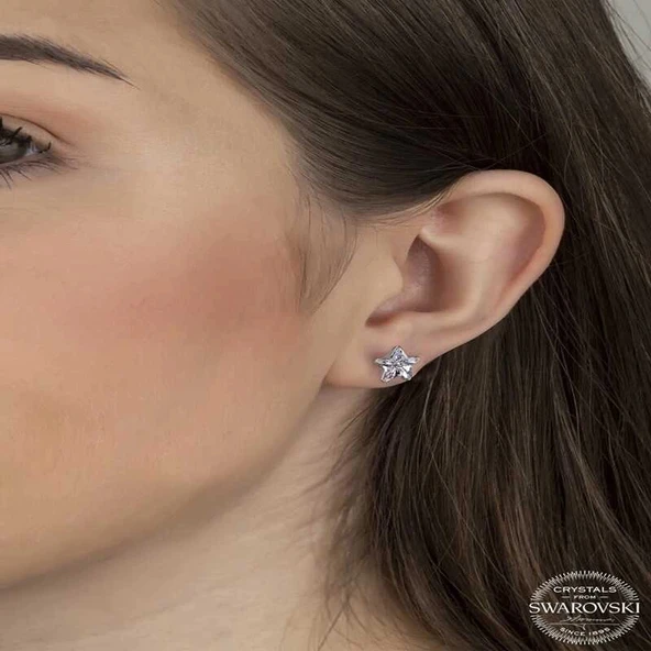 Supertrend Swa Crystal Taşlı Gümüş Yıldız Çivili Kadın Küpe - Resim 2