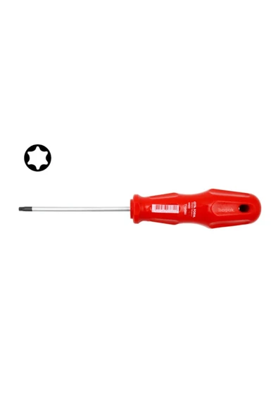 CETA FORM TORX Uçlu Tornavida - T25 x 100 mm ürün görseli 1