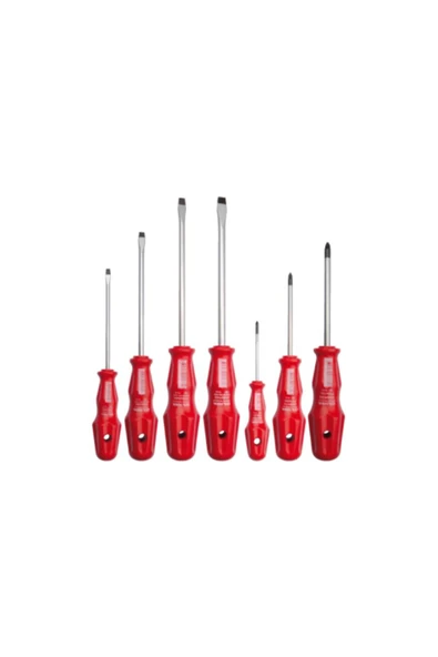 CETA FORM 7 Pc.torex Tornavida Tk.-düz/pz ürün görseli