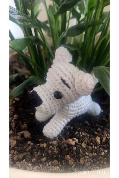 Hayalperest Köpekçik - 1