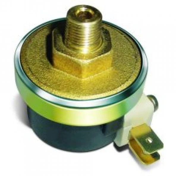 Silter TY ITPRS 25 İtalyan Basınç Şalteri (Presostat) ürün görseli 1