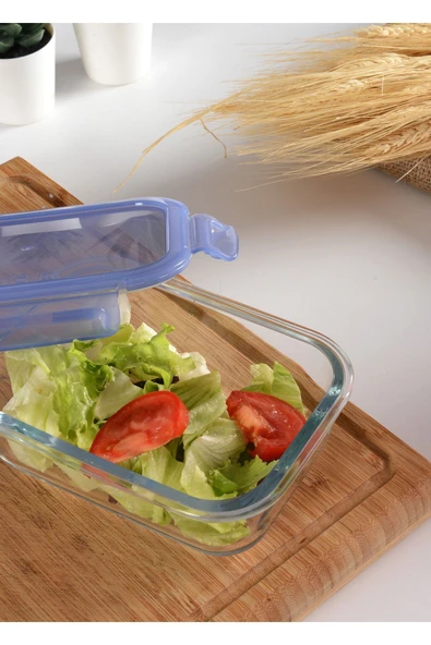 530176 Gri Kapaklı Kilitli Saklama Kabı 4 Adet - Resim 2