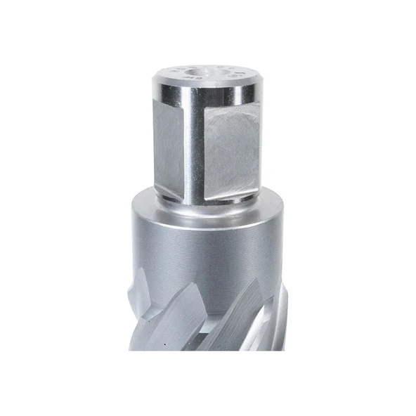 Alfra Alfra Hss Basıc Serisi 55X30MM Freze Ucu - Resim 3