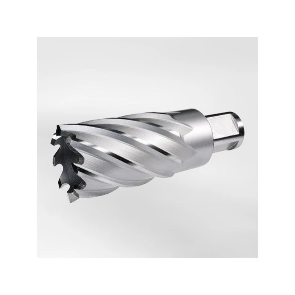 Alfra Alfra Hss Basıc Serisi 29X50MM Freze Ucu ürün görseli