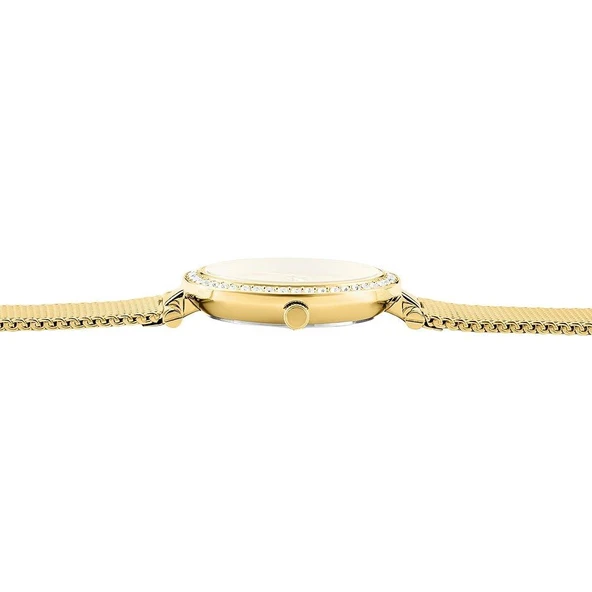 CLYDA CLA805DDD Kadın Kol Saati - Resim 3